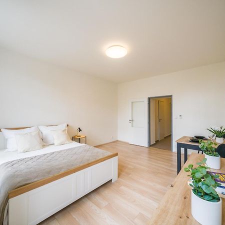 Apartia Vlhka 26, Brno-Center Zewnętrze zdjęcie