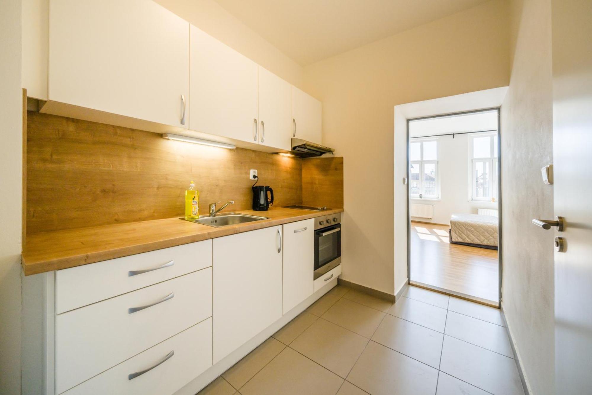 Apartia Vlhka 26, Brno-Center Zewnętrze zdjęcie
